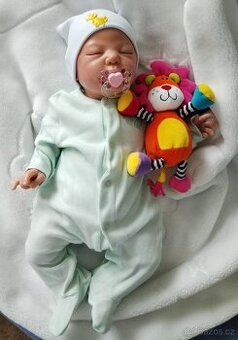 Reborn miminko