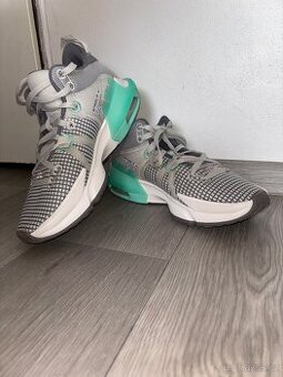 Nike LeBron pánské