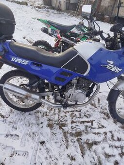 Jawa Dandy 125, Pitbike 125