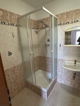 Zástěna sprchového koutu 80x80