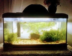AKVÁRIUM 60x30x30- 54 litrů + kryt LED DIVERSA