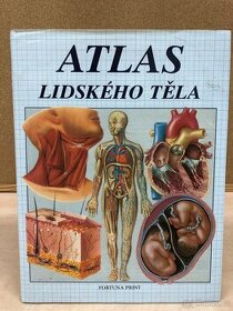 Atlas lidského těla - 1