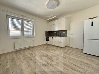 Pronájem byty 1+kk, 30 m2 - Brno - Trnitá, ev.č. N07955