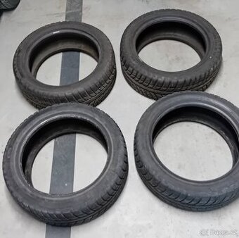 225/45 R17 91H zimní protektory