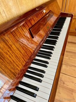 Piano Rösler