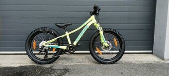 Kolo Specialized 20