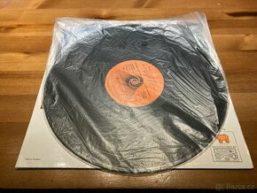 Gramofonová deska(LP) BeeGees