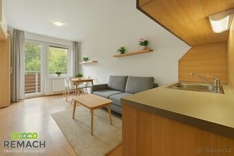 Prodej, byt 1+kk s balkonem, 25 m2, Všemina, ev.č. 03196