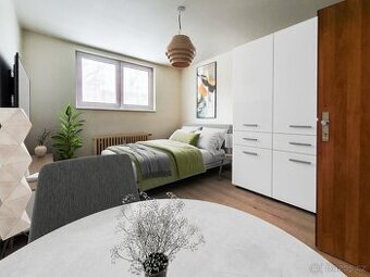 Garsoniéra 24m2 - Karlovy Vary - 1