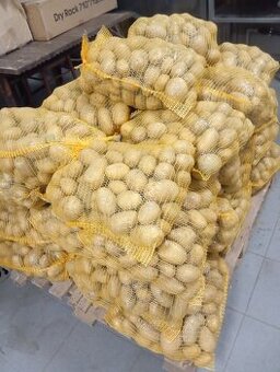 Brambory a cibule na uskladnění
