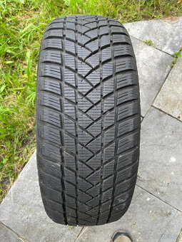 Zimní pneumatiky, GT Radial Winterpro 2 Sport 205/50 R17 93V
