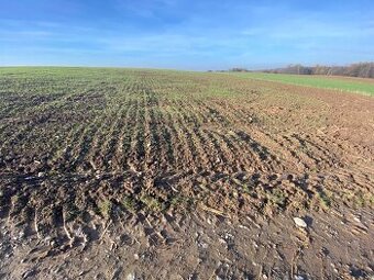 Pozemek orná půda Hlinné u Dobrého - 1