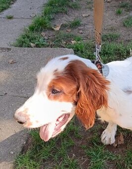 Daruji do dobrých rukou.