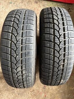 Zimní gumy Riken Snowtime b2 185/65 R15