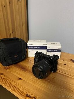 Sony a6600