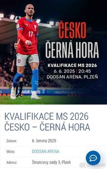 česko-cerná hora 2 vstupenky