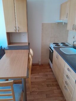 Prodej byt 1+1 plocha 36m2,balkon Chomutov,Borova