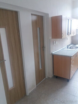 Pronajmu byt 2+1 v M.Touškově-REZERVACE - 1