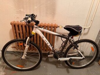 Kolo Author Solution ASL