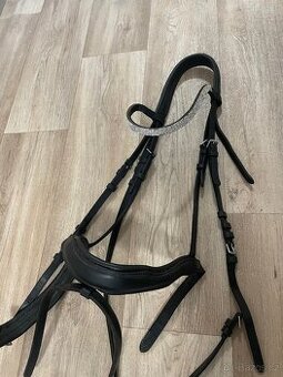 Uzdečka s otěžemi