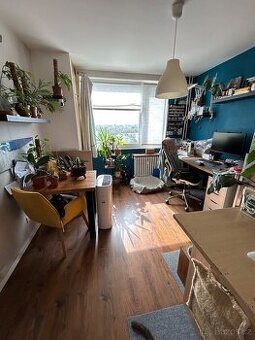 Prodej bytu 1+1, 45 m² Pardubice Polabiny