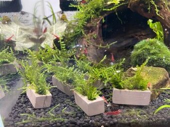 Mech v cihličkách - 1