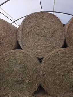 Loňské seno - 10 balíků