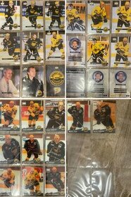 Hokejové karty - HC Litvínov - 1