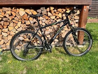 Specialized MTB HR XC