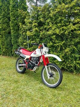 Honda XL 600 R PD03E