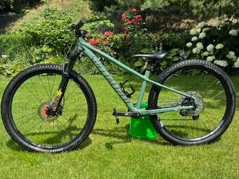 Horské kolo SPECIALIZED Rockhopper Expert