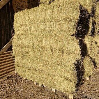 Seno hranate baliky - 1