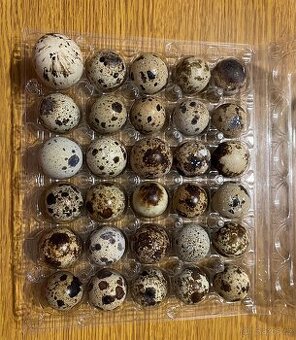 Křepelčí vajíčka