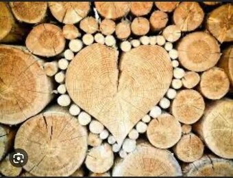 Pila Honzírek Kroměříž - hranoly , desky , polena ,