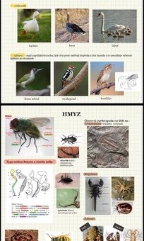 Přijímačky na Veterinu Brno