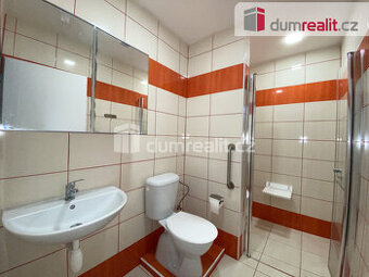 Garsoniéra 19m2 se zahradou, Lanžhot - 1