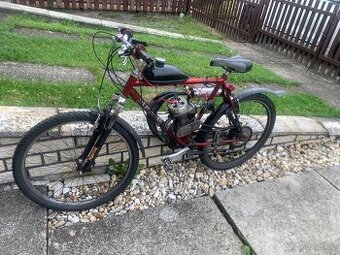 Moto koko