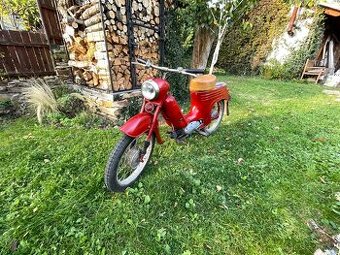 Jawa 555 pařez