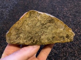 Zkamenělá rašelina