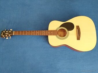 Cort AF 510 s pevným pouzdrem