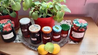 Rýmovníkový med - rodinná receptůra 20let