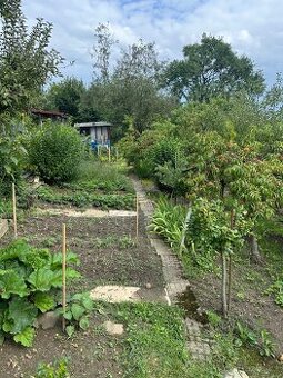 Pronájem zahrady/zahrada