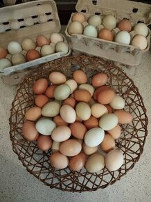 Domácí vejce z přebytku