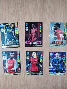 Sběratelské kartičky FIFA Panini Adrenalyn XL 365