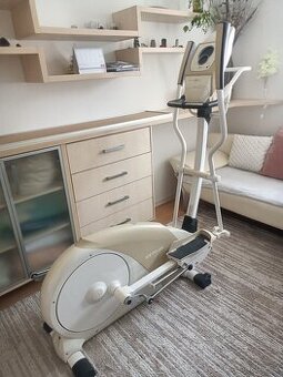 Kettler satura P