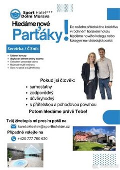 Hledáme servírku/ číšníka
