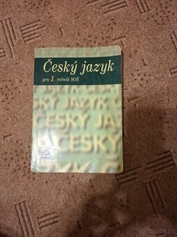 Český jazyk 1