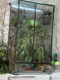 Terarium pro chameleona + vybavení