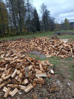 Práce v širokém odvětví, jsem OSVČ