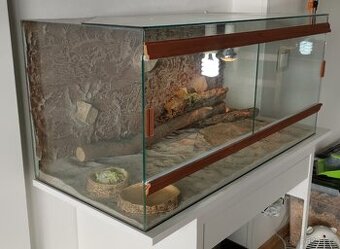 Prodám terárium pro agamu